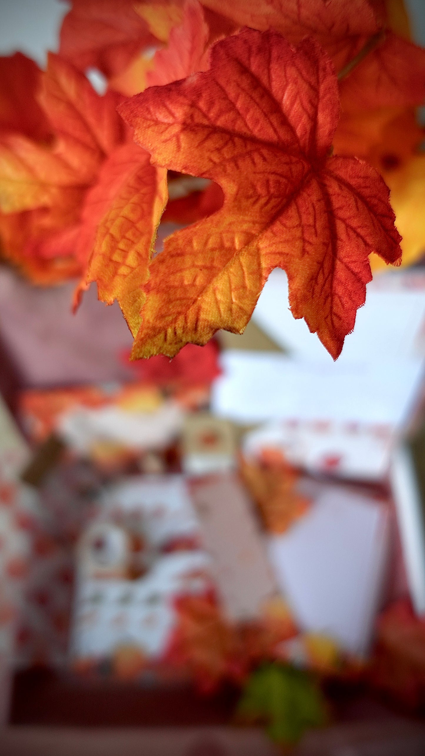 BOX D’AUTOMNE