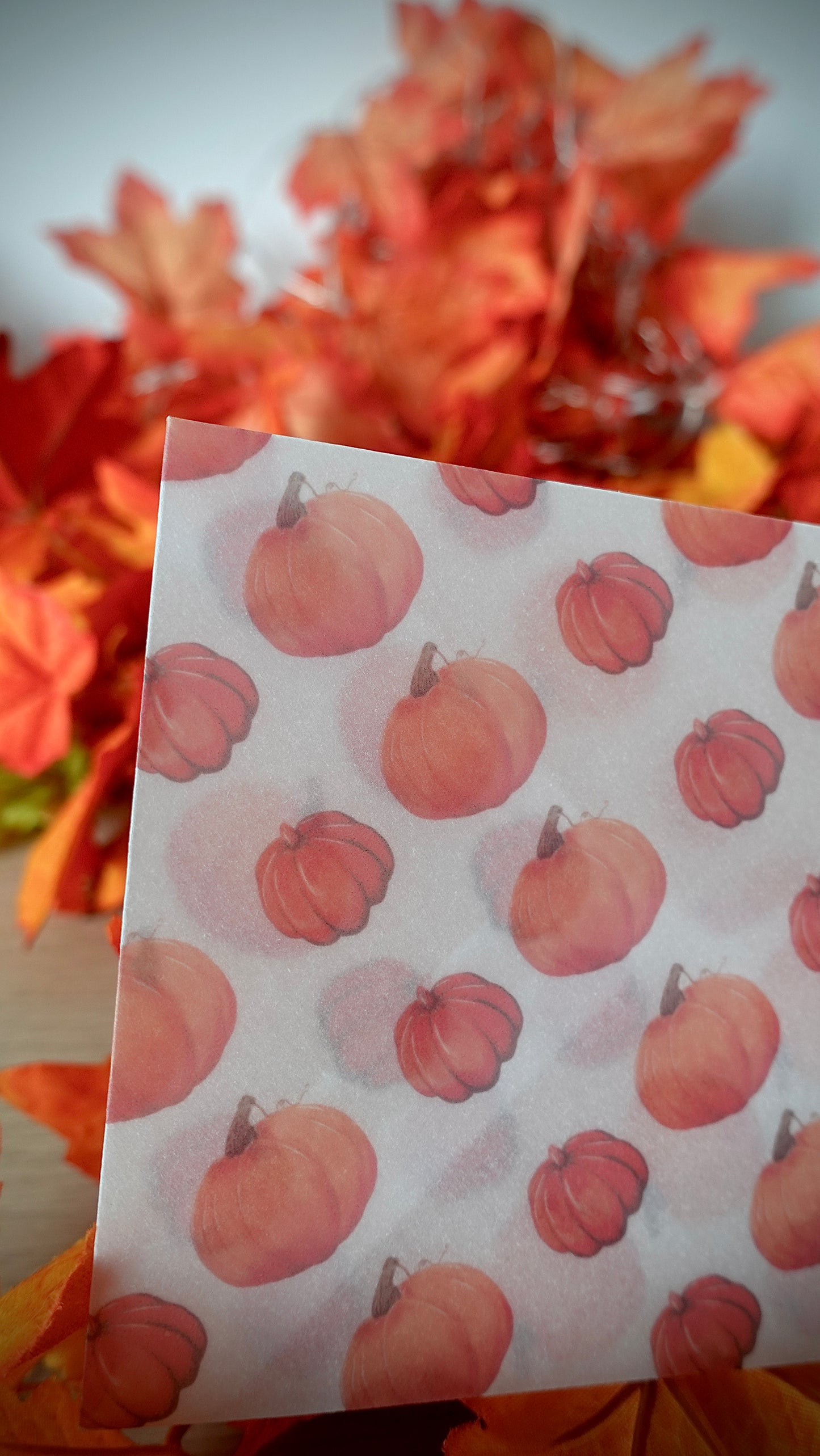 BOX D’AUTOMNE