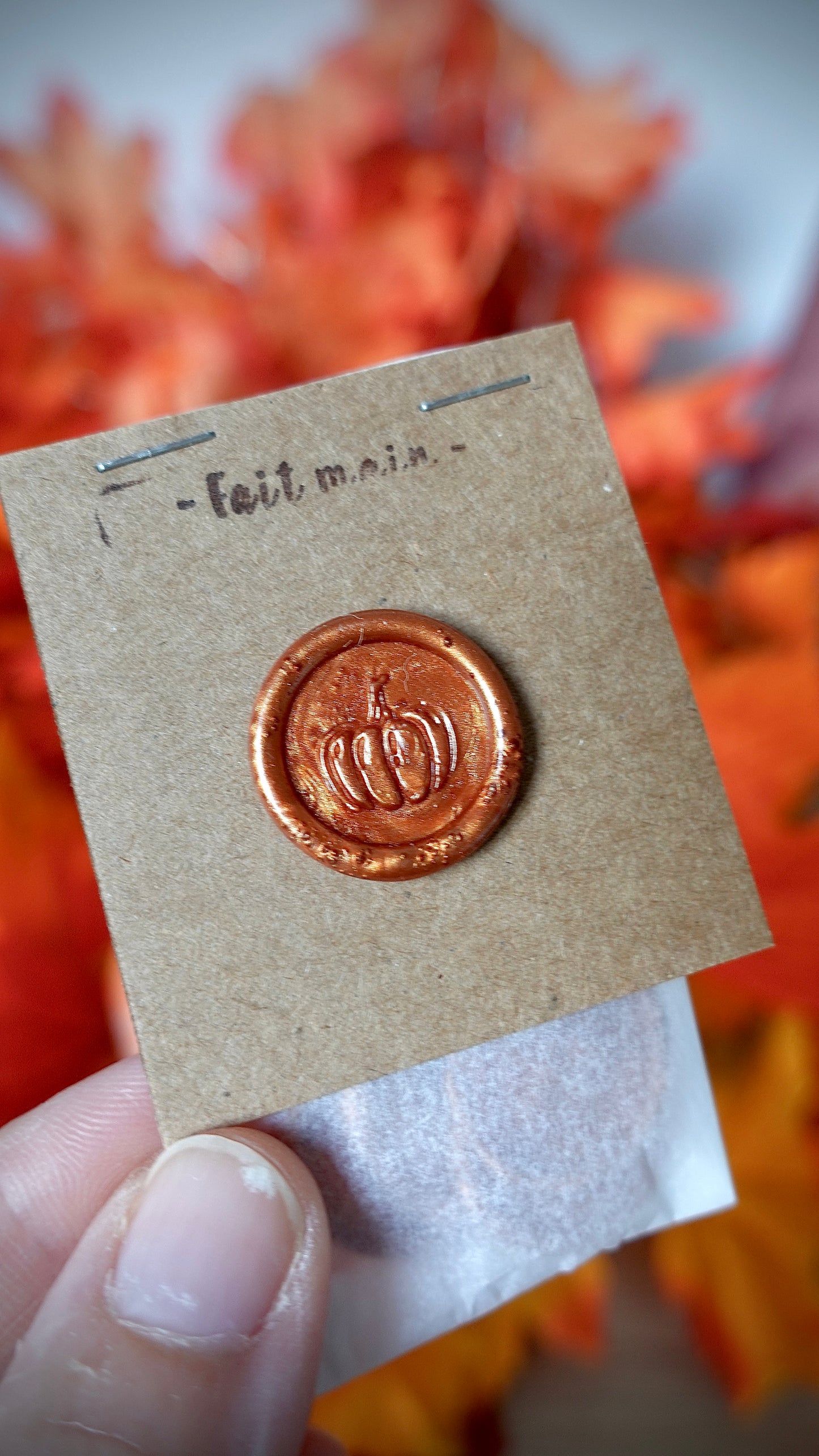BOX D’AUTOMNE