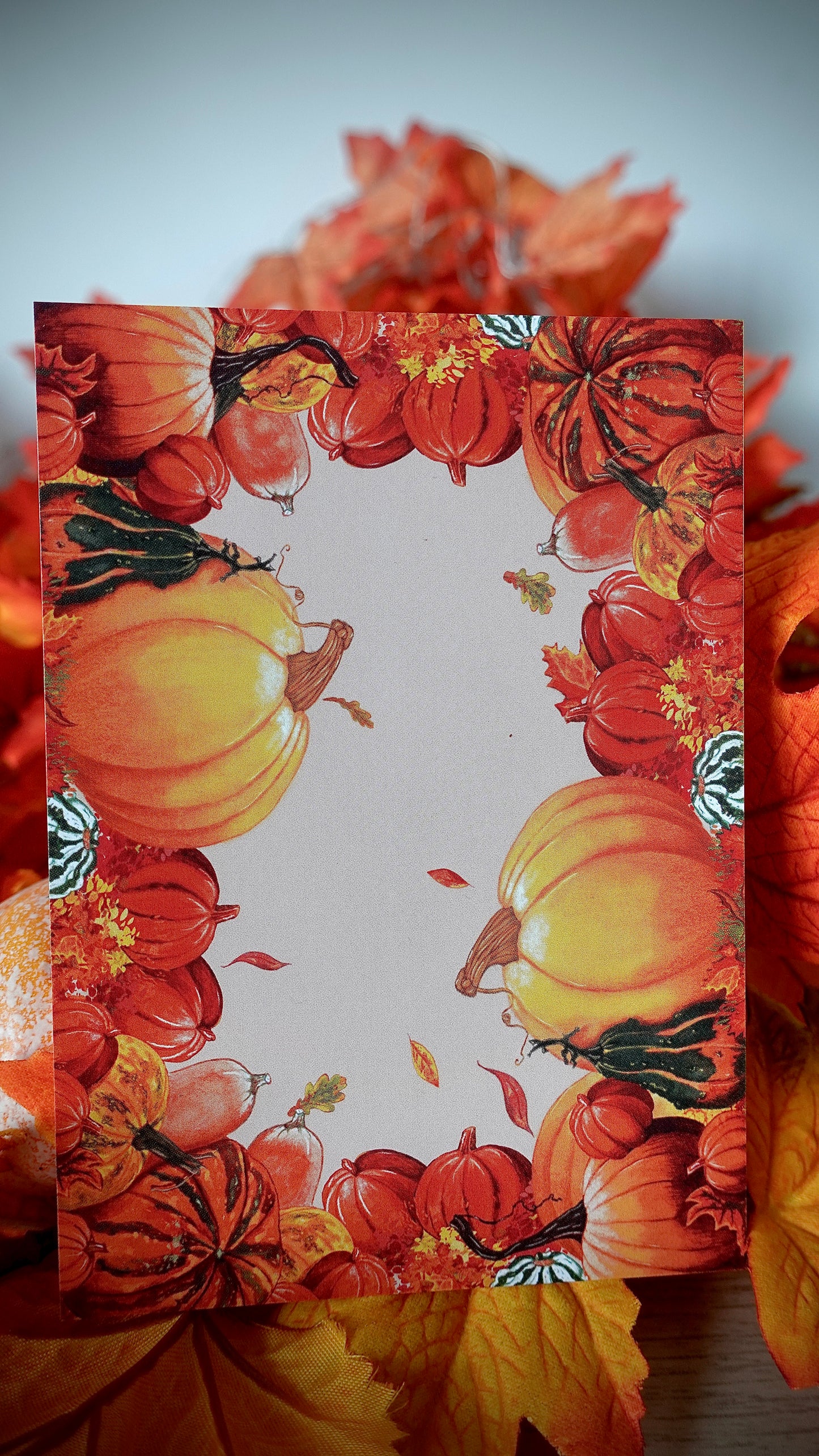 BOX D’AUTOMNE