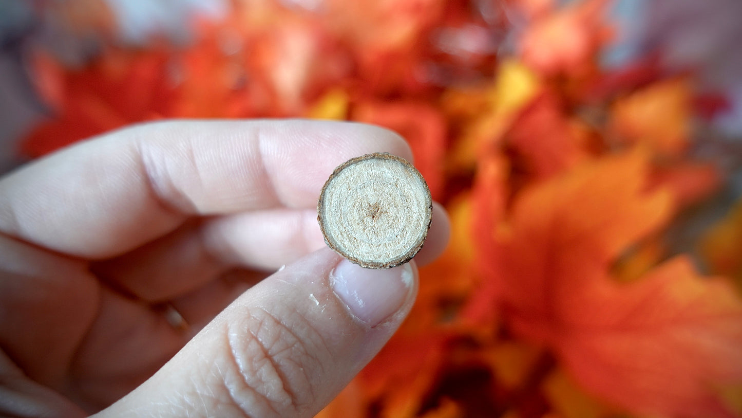 BOX D’AUTOMNE
