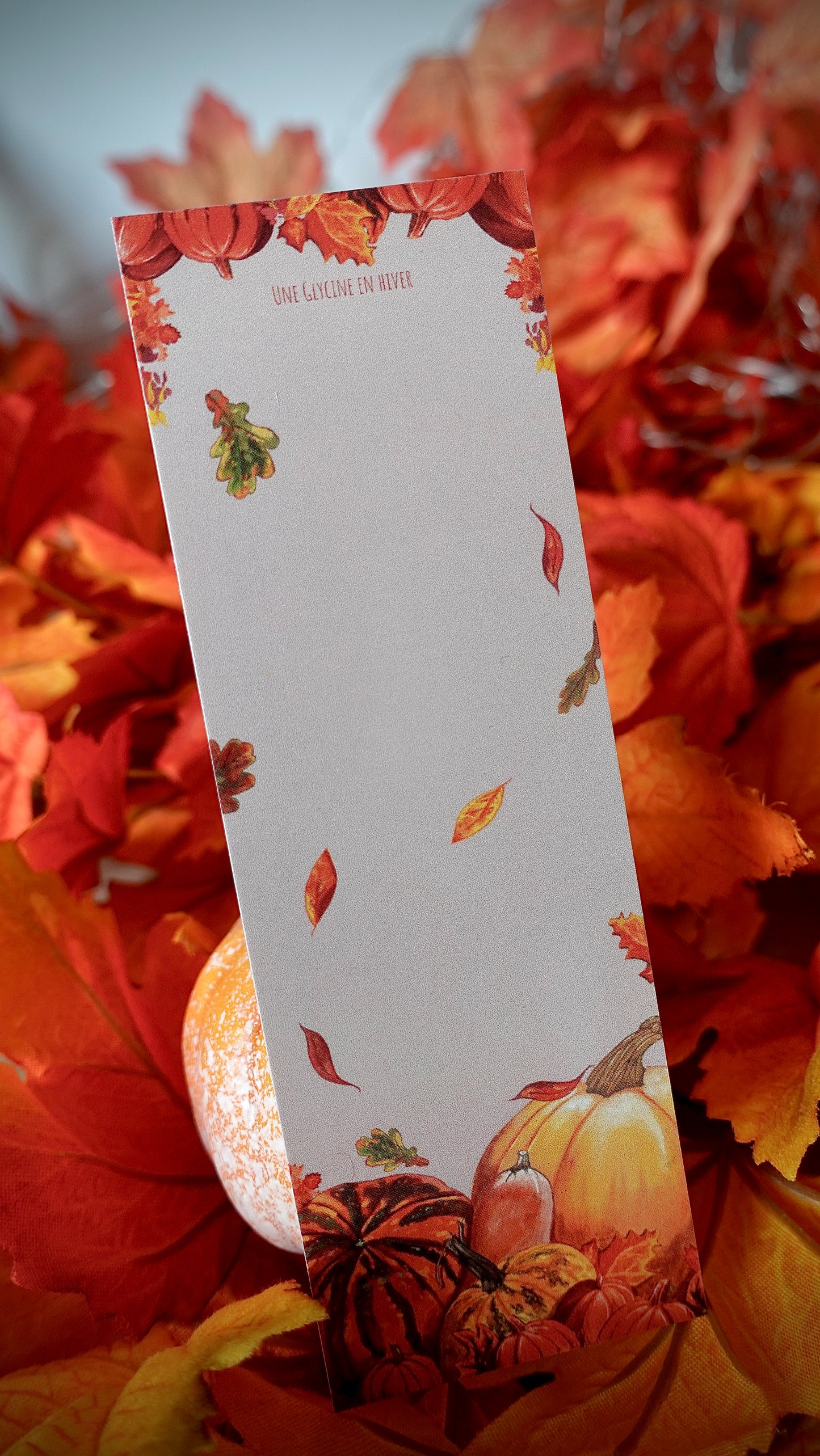 BOX D’AUTOMNE
