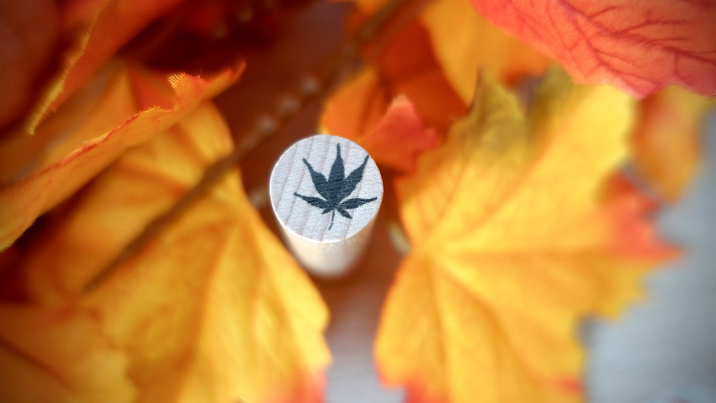 BOX D’AUTOMNE
