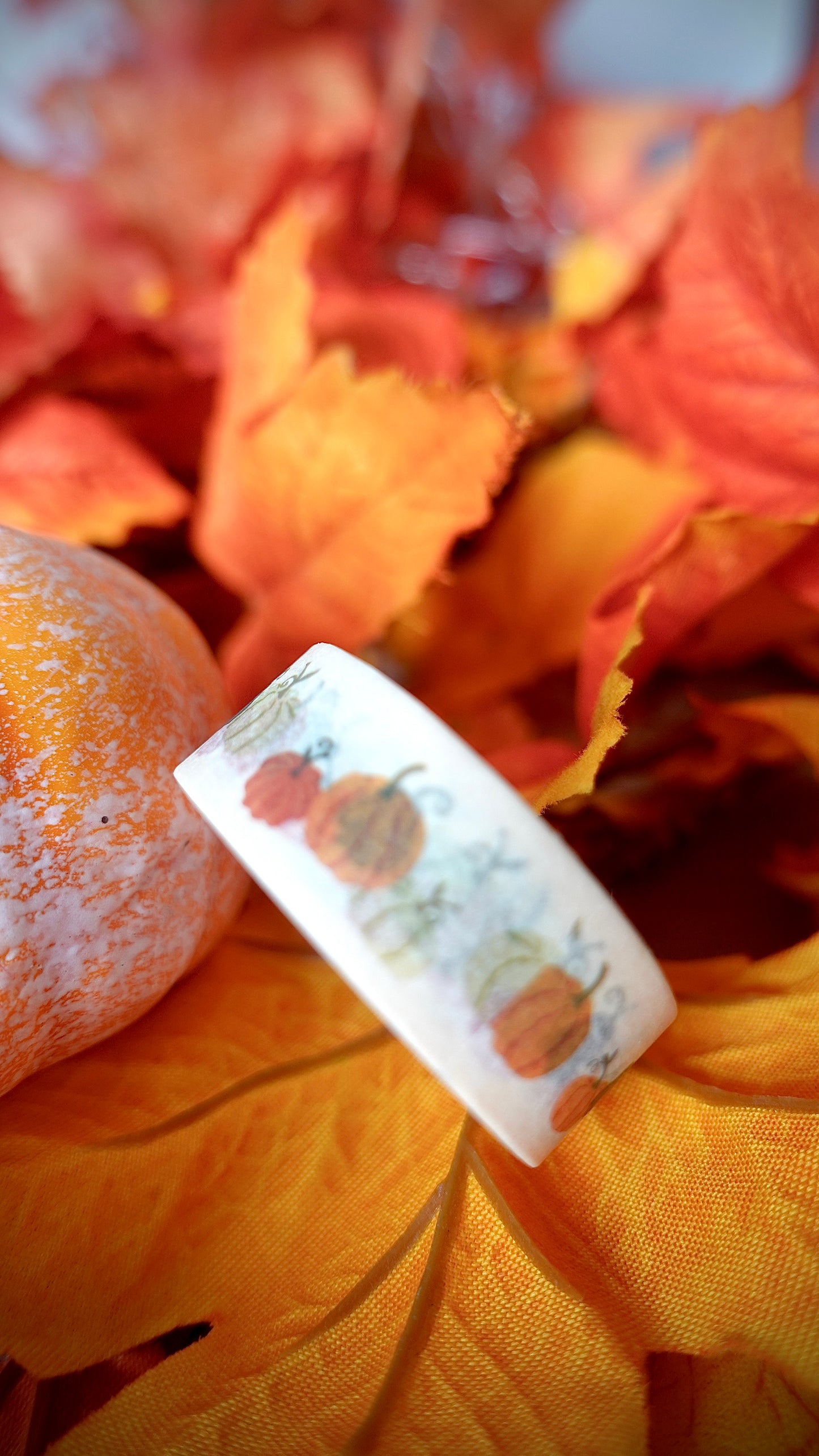 BOX D’AUTOMNE