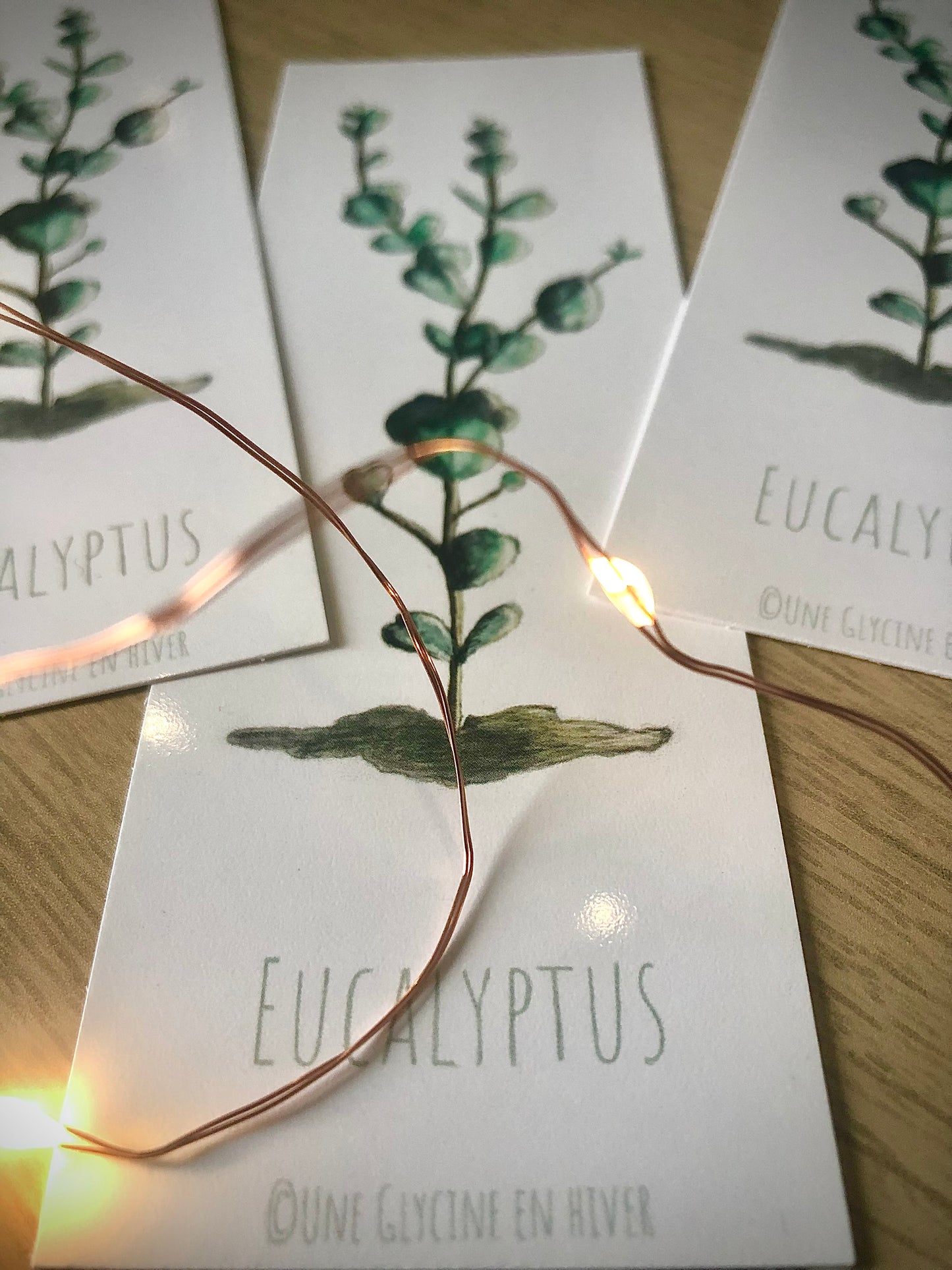 Marque-pages Eucalyptus