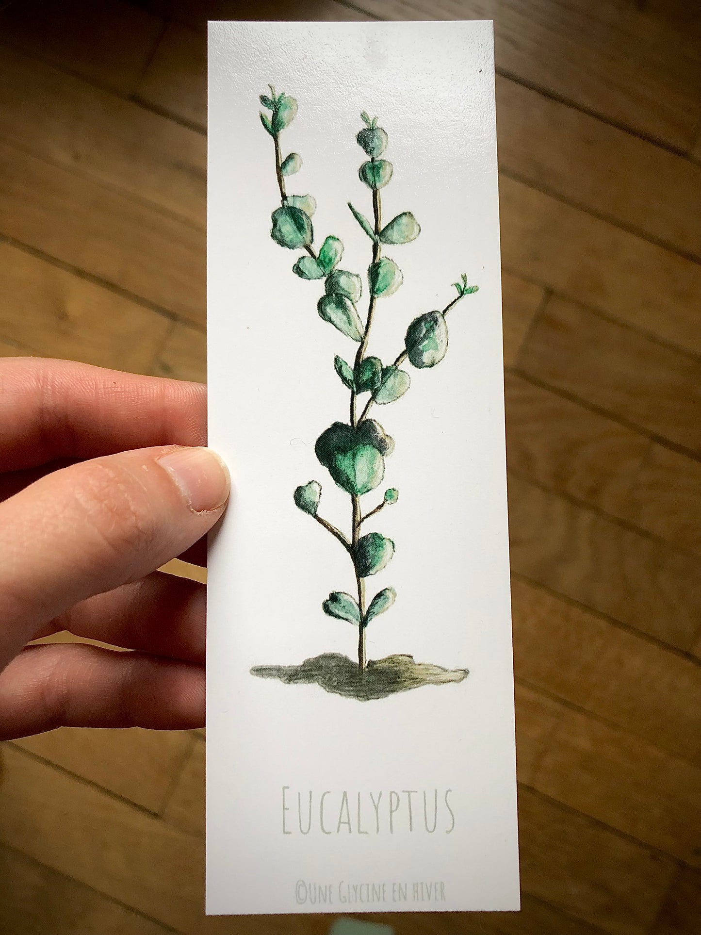 Marque-pages Eucalyptus