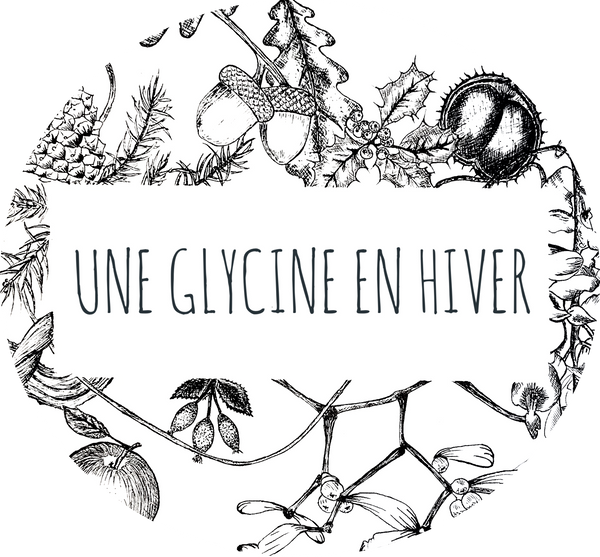 Une Glycine en hiver